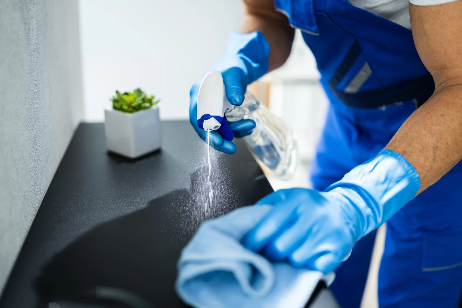 Residential House Cleaning Services in Delta- Miss Milly House Cleaning Services