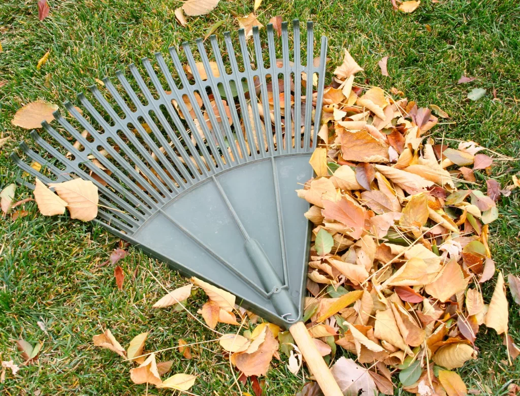 Fall Cleaning Services By Miss Milly Cleaning Services Surrey